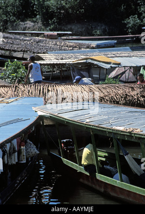 Boote vor Anker in den Backwaters Keralas. Stockfoto