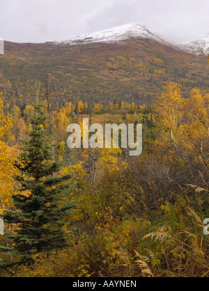 Blick vom Prospect Heights Trail im Chugach State Park Alaska Stockfoto