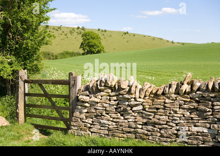 Eine Trockenmauer und einem Cotswold Hügellandschaft in der Nähe von Cotswold Dorf von Turkdean, Gloucestershire Stockfoto