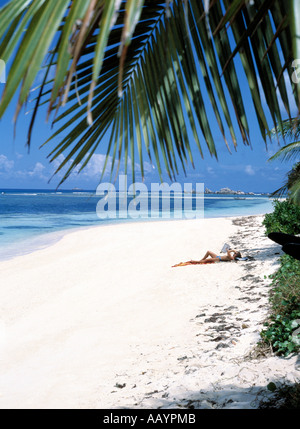 tropischer Strand auf den Seychellen Inseln mit überhängenden Palmen, Stockfoto