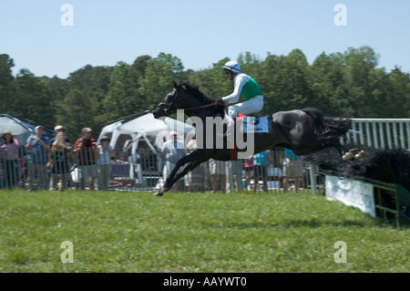 Pferd springen Zaun mit einem Fahrer in einem Rennen 2006-North Carolina-USA Stockfoto