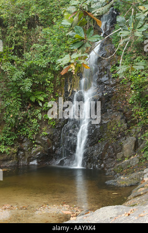 Durian Perangin Wasserfall. Der Insel Langkawi, Malaysia. Stockfoto