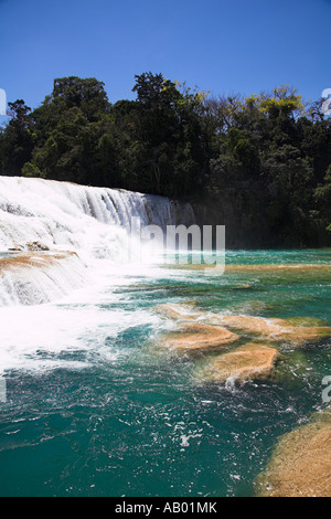 Cascada Agua Azul, Agua Azul Wasserfall, Parque Nacional Agua Azul, in der Nähe von Palenque, Chiapas, Mexiko Stockfoto