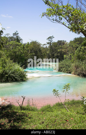 Cascada Agua Azul, Agua Azul Wasserfall, Parque Nacional Agua Azul, in der Nähe von Palenque, Chiapas, Mexiko Stockfoto