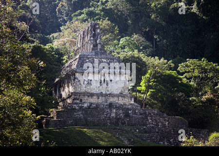 Ein Tempel auf dem Hügel, archäologische Stätte Palenque, Palenque, Bundesstaat Chiapas, Mexico Stockfoto