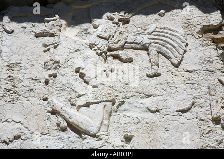 Steinbildhauen an Wand, El Palacio, The Palace, archäologische Stätte Palenque, Palenque, Chiapas, Mexiko Stockfoto