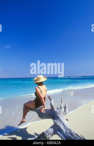 Frau im Badeanzug sitzt auf Baumstumpf am tropischen Strand auf Lombok Insel Indonesien Südost-Asien Modell veröffentlicht Bild Stockfoto