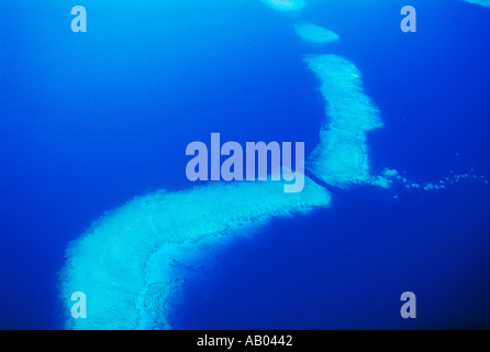 Luftaufnahme von Korallenriff in der Nähe von Vanua Levu Fiji Süd-Pazifik Stockfoto