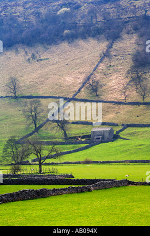 Scheune und Trockenmauern im oberen Wharfedale Yorkshire Dales National Park North Yorkshire England Stockfoto