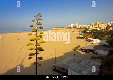 Europa Portugal Algarve Portimao Praia da Rocha Stockfoto