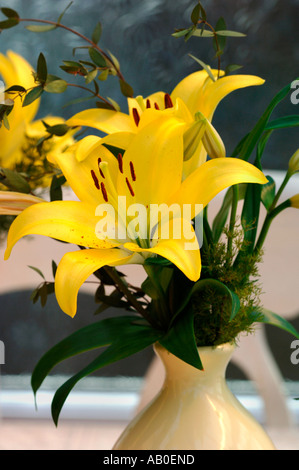 Lilium Lilien In einer Vase Stockfoto