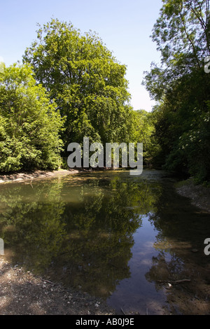 Stille-Pool in der Nähe von Guildford, Surrey, England, UK Stockfoto