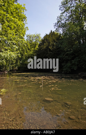 "Silent-Pool" in der Nähe von Guildford Surrey England UK Stockfoto