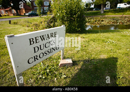 Enten Crossing Schild am Wisborough Green, West Sussex, England, UK Stockfoto