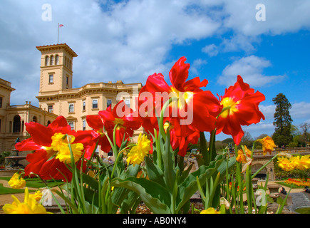 Blumen auf dem Gelände des, Osborne House, East Cowes, Isle of Wight, England, UK, GB. Stockfoto