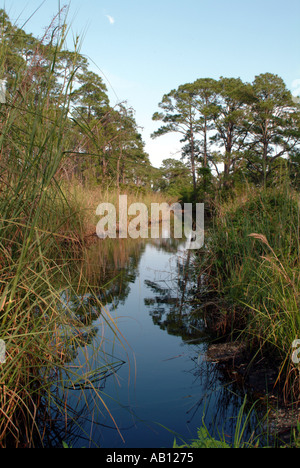 Golf Inseln Fort Pickens Pensacola Florida Naturlehrpfad Stockfoto