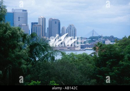 Sydney Opera House durch die Bäume von Steven Dusk Stockfoto