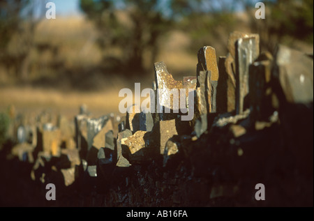 STACHELIGEN BRIDGE Tasmanien Australien Australien Australien allgemeine Stockfoto