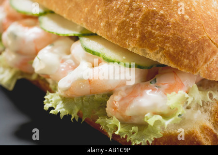 Brötchen gefüllt mit Garnelen, Gurke und Remoulade FoodCollection Stockfoto