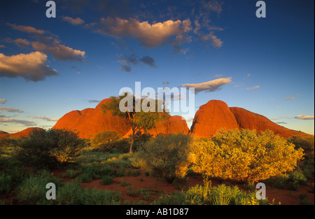 Kata Tjuta Olgas Kata Tjuta National Park nördlichen Territorien Australien Stockfoto