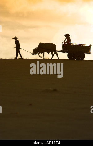 Mann in Stroh Hut führt Ochsenkarren mit junge Mädchen bis weißen Sanddünen in der Nähe von Mui Ne Süden Osten Vietnam Stockfoto