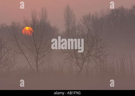 Sonnenaufgang über den Norfolk Broads Hickling Broad Norfolk England Marsch Stockfoto