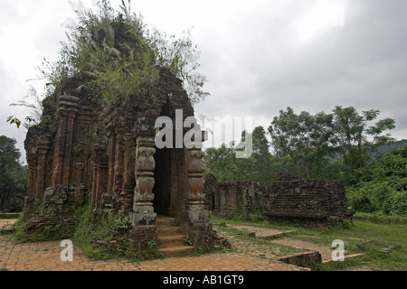 Cham-Tempel archäologische Stätte meines Sohnes in der Nähe von Hoi An Vietnam Stockfoto