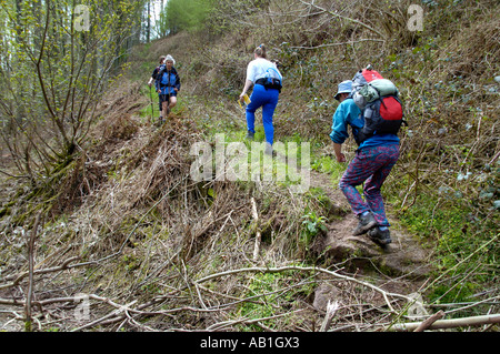 Geführte walking-Gruppe auf Fußweg durch Coed Robin Wald in der Nähe von Cwmyoy in den Black Mountains Monmouthshire South Wales UK Stockfoto