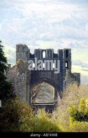 Blick über Llanthony Priory, Vale of Ewyas, Monmouthshire, Süd-Wales, UK Stockfoto