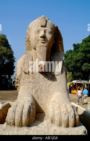 Alabaster Sphinx von Memphis Museum, Kairo, Ägypten Stockfoto