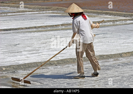 Frau in konische Hut Rechen Salz locker von der Oberfläche von einem Salz Teich Vietnam Stockfoto