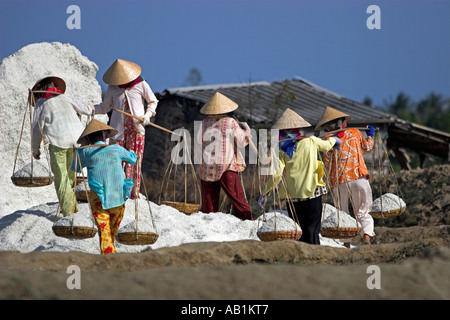 Arbeitnehmerinnen in konische Hüte dump Salz aus Fahrradtasche Körbe auf wachsende Salz Hügel Vietnam Stockfoto