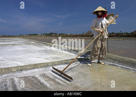 Frau in konische Hut Rechen Salz locker aus Salz Teich Phan Thiet-Vietnam Stockfoto