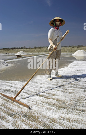 Frau in konische Hut Rechen Salz locker von der Oberfläche von einem Salz Teich Phan Thiet-Vietnam Stockfoto