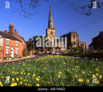 Narzissen auf dem Dorfplatz am Astbury in der Nähe von Congleton Cheshire UK Stockfoto