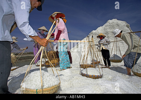 Männer und Frauen einzahlen Salz aus Fahrradtasche Körbe auf Sammlung Hügel Salinen Phan Thiet-Vietnam Stockfoto