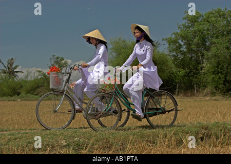 Zwei junge Frauen in konische Hüte und traditionellen weißen Ao Dai Kostüm Fahrt Fahrräder auf Pfad Reisfeldern in der Nähe von Phan Thiet-Vietnam Stockfoto
