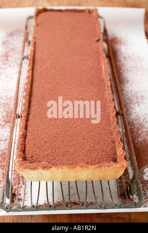 Rechteckige Schokolade Torte mit Kakaopulver FoodCollection Stockfoto