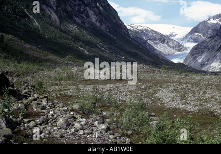 Tal der Nigard Gletscher Norwegens, mit Felsen der Moräne vor Stockfoto