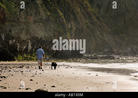 Mann allein zu Fuß Hund auf Tresaith Strand Ceredigion West Wales UK an einem lauen Sommerabend Stockfoto
