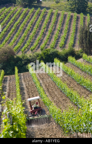 Weinanbau & Weinreihen. Fiatagri Bauernschlepper in Weinbergen in der Toskana Schneiden und kultivieren San Quirico d' Orcia Italien, Europa Stockfoto