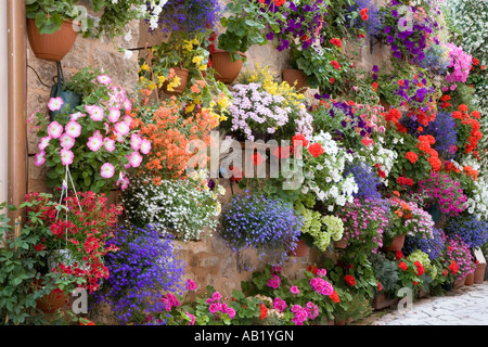 An der Wand hängende Körbe, Petunia, Strauß, frisch, wachsende, ornamentalen, dekorativen, eine überdachte Wand Blumenarrangement Spoleto, (Spello] Italien, Europa, EU Stockfoto