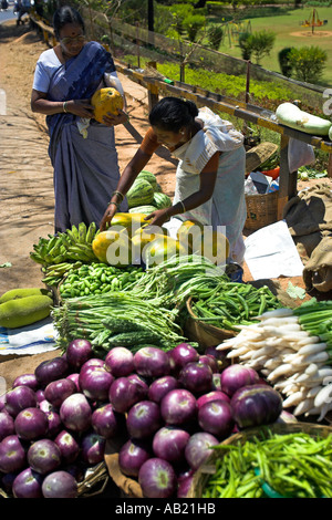 Am Straßenrand Obst und Gemüsemarkt Outisde Panjim Goa Indien Stockfoto