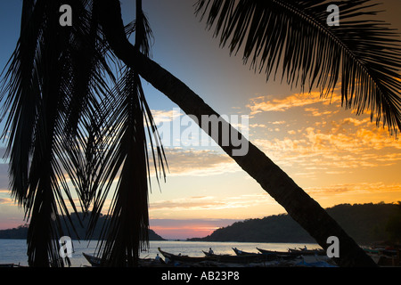 Palm-Silhouette und traditionelle Boote im Sonnenuntergang Palolem Beach Goa Südindien Stockfoto