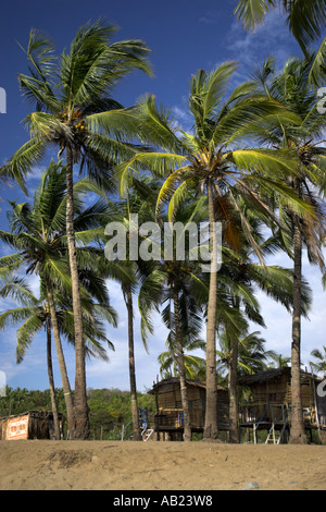 Strandhütten unter Palmen ruhig Agonda Beach Goa Südindien Stockfoto