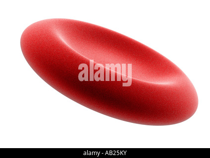 Erythrozyten Blutplättchen Stockfoto