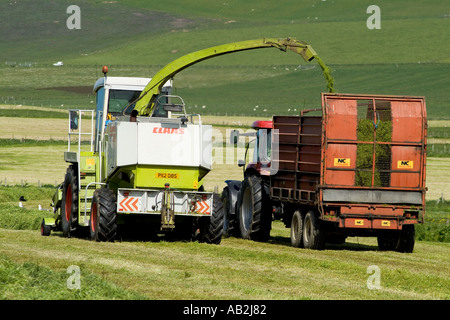 dh Kirbister STROMNESS Bereich ORKNEY Silage Ernte Combine Harvester Traktor und Grass-Anhänger Stockfoto