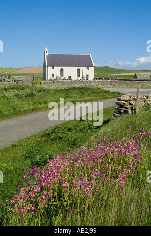 dh Bay of Skaill SANDWICK ORKNEY SCHOTTLAND White gewaschen Kirche Rot Campion Blumen Frühling Landschaft Stockfoto