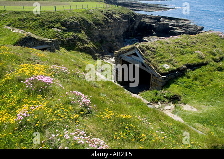 dh Sand Geo BIRSAY ORKNEY Fishermens Hütten Meer pinks Sparsamkeit Armeria maritima Stockfoto