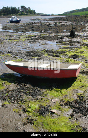 Boote bei Ebbe in Strangford Lough, County Down, Nordirland gestrandet Stockfoto